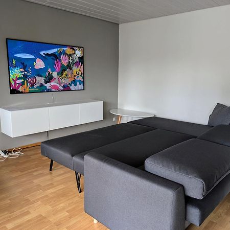 Storchennest - Schoenes, Ruhiges Apartment Mit Sonnenterrasse Тетнанг Экстерьер фото